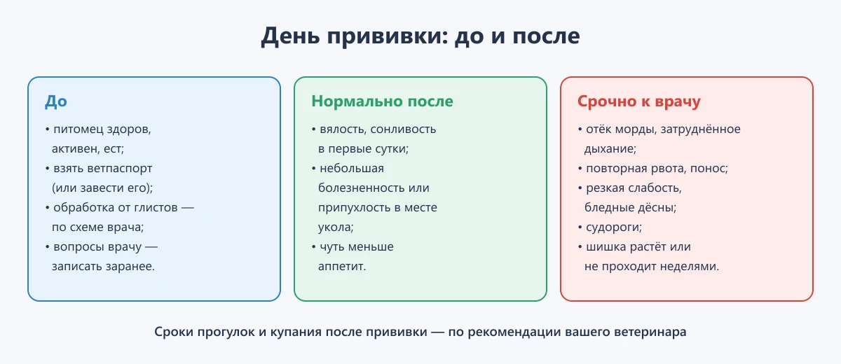 схема: что сделать до прививки, что нормально после и когда срочно к врачу