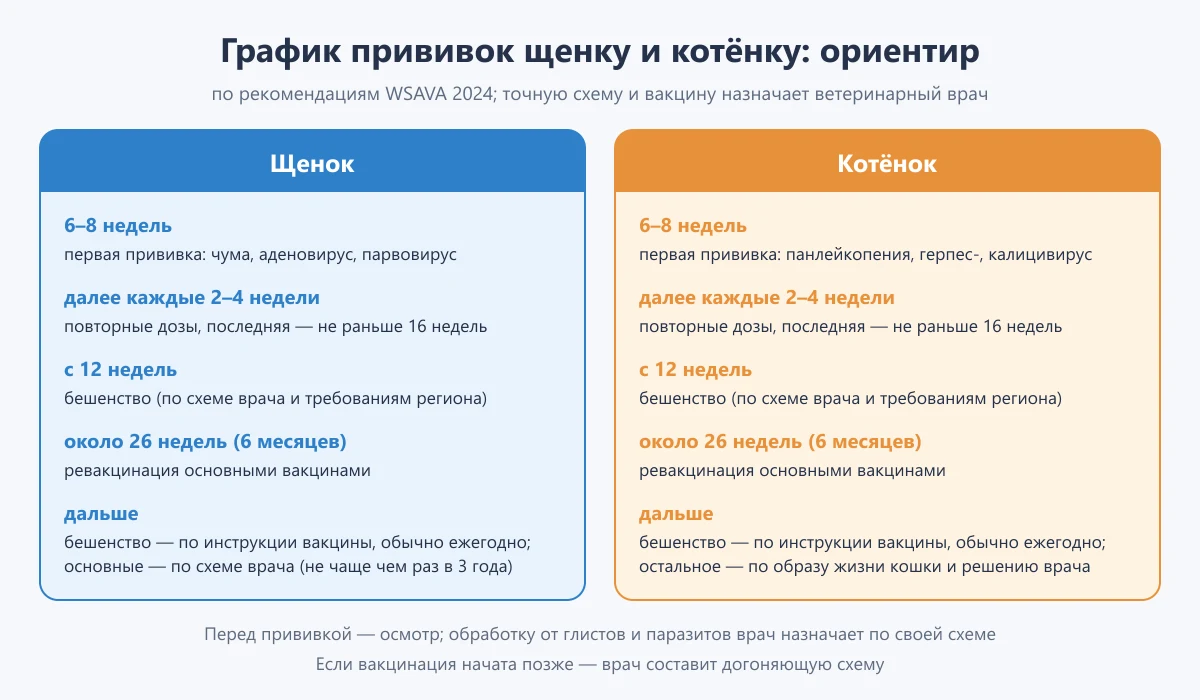 таблица: ориентировочный график прививок щенку и котёнку