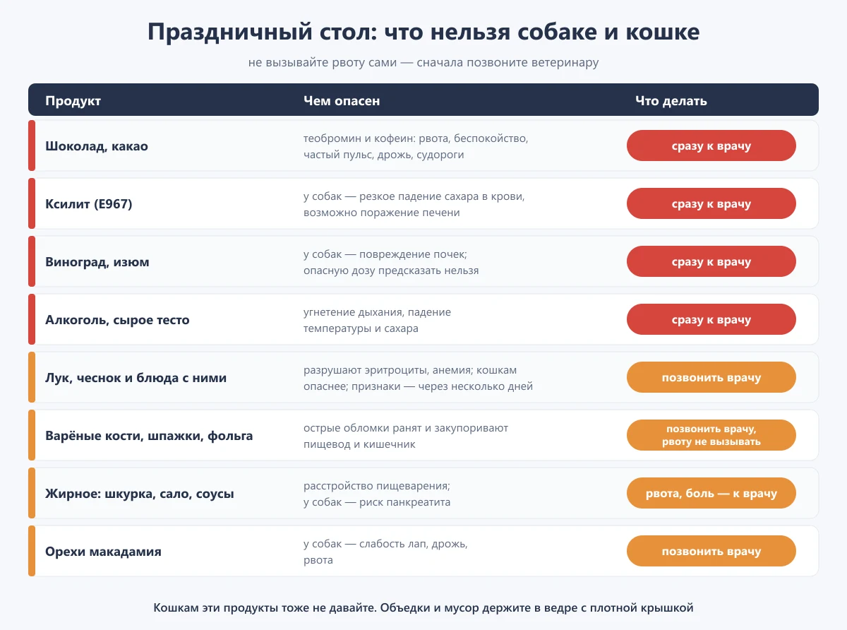 таблица: какие продукты с новогоднего стола опасны для собак и кошек, чем опасны и что делать