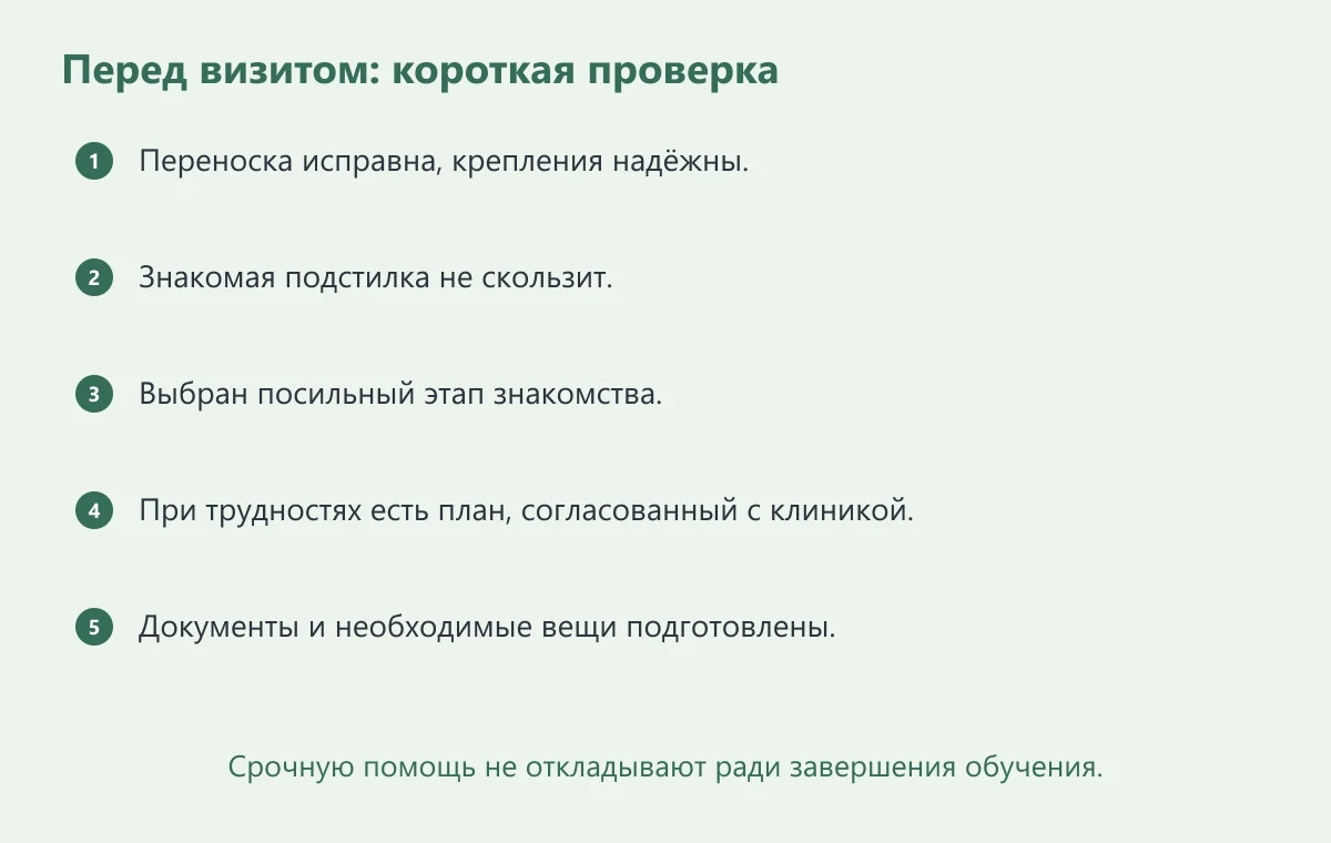 Чек-лист подготовки к визиту: исправная переноска, знакомая подстилка, понятный этап обучения, связь с клиникой и документы