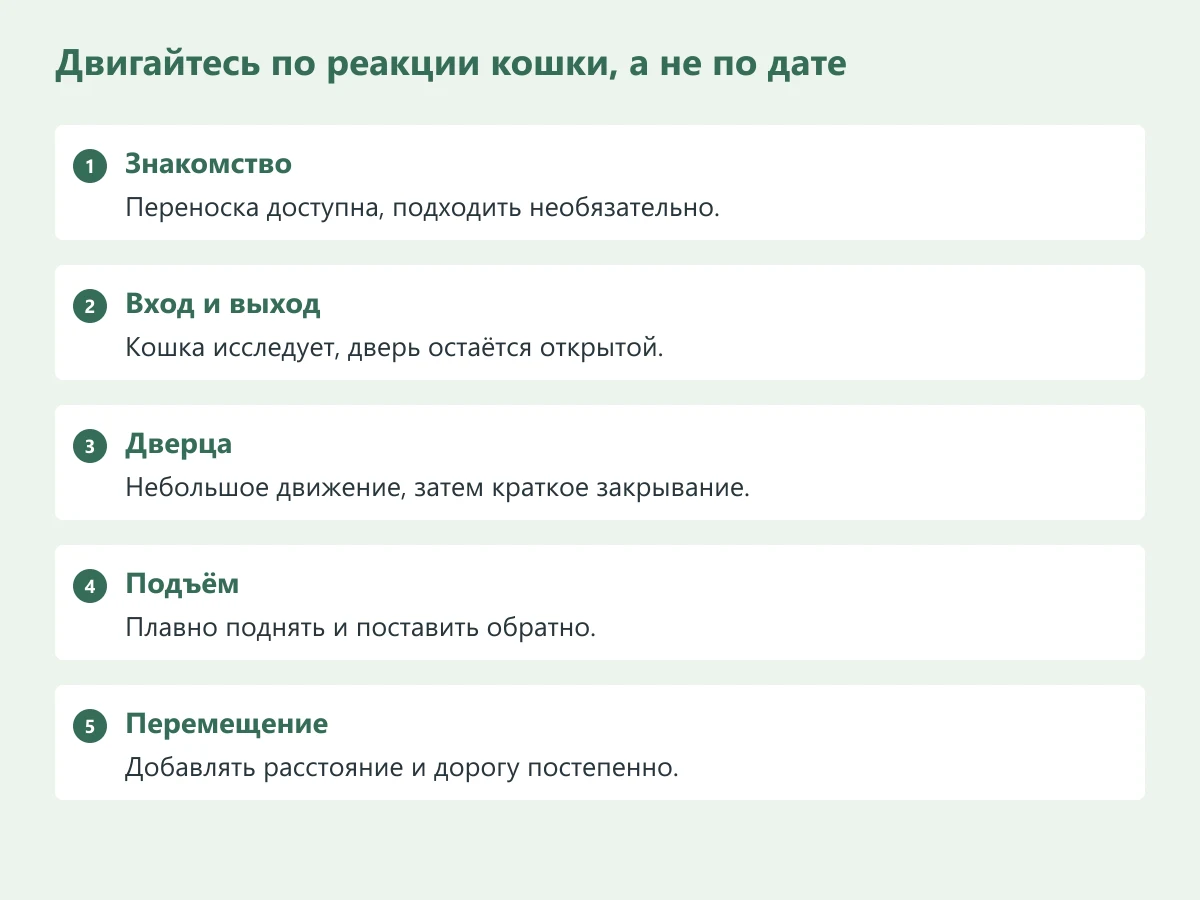 Последовательность знакомства: рядом с переноской, у входа, внутри с открытой дверцей, краткое закрывание и перенос