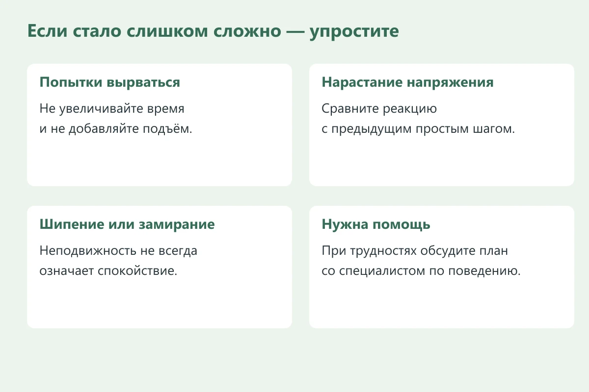 Когда упростить упражнение: активное стремление выйти, нарастание напряжения, шипение или замирание; неподвижность не всегда спокойствие