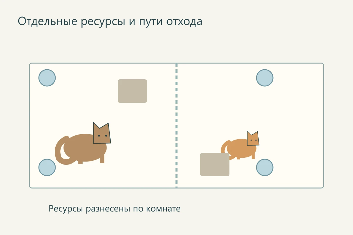 План комнаты с разнесёнными мисками, лотками и укрытиями
