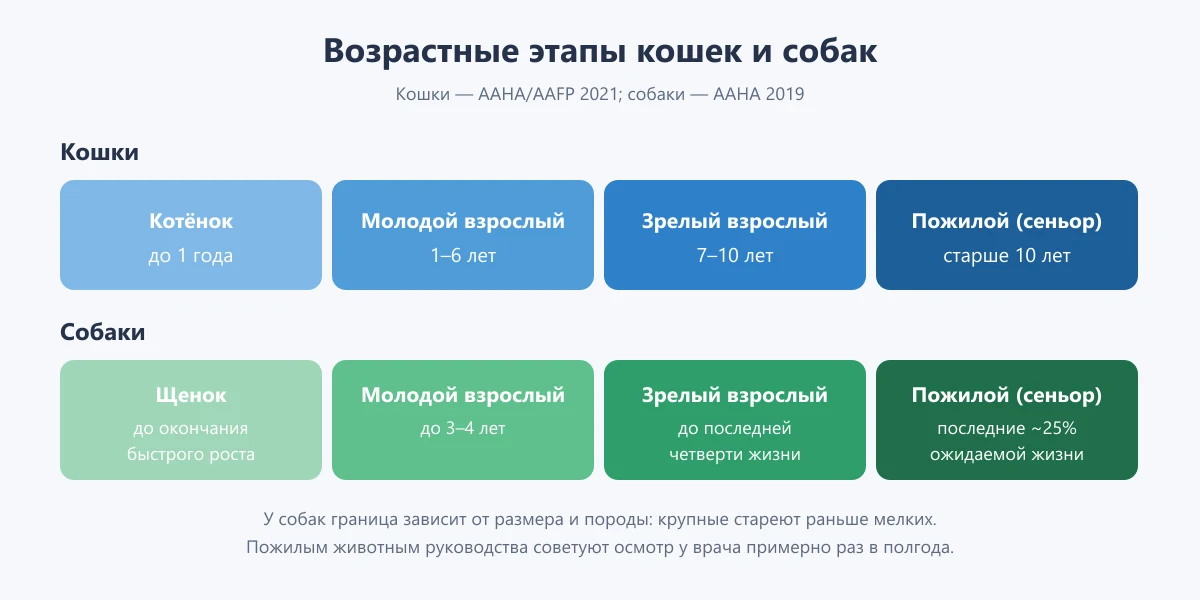 схема: возрастные этапы кошек и собак по рекомендациям AAHA и AAFP