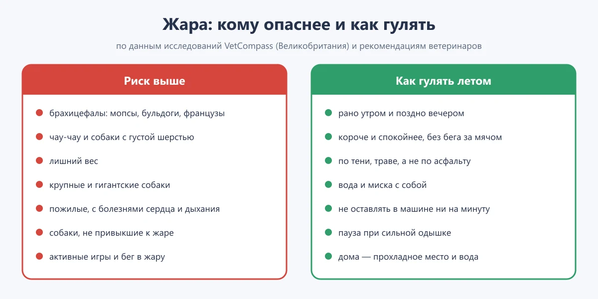 таблица: каким собакам опаснее жара и как гулять летом